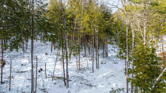 $299,000 | 0 Fay Lane, Unit 7226 AND 7227, Quechee, VT 05059