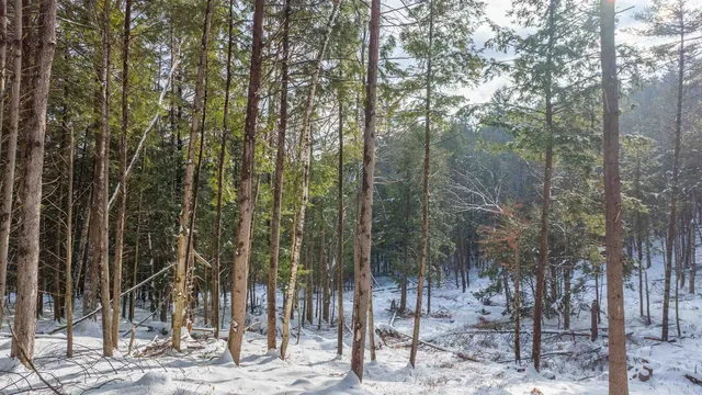 $299,000 | 0 Fay Lane, Unit 7226 AND 7227, Quechee, VT 05059