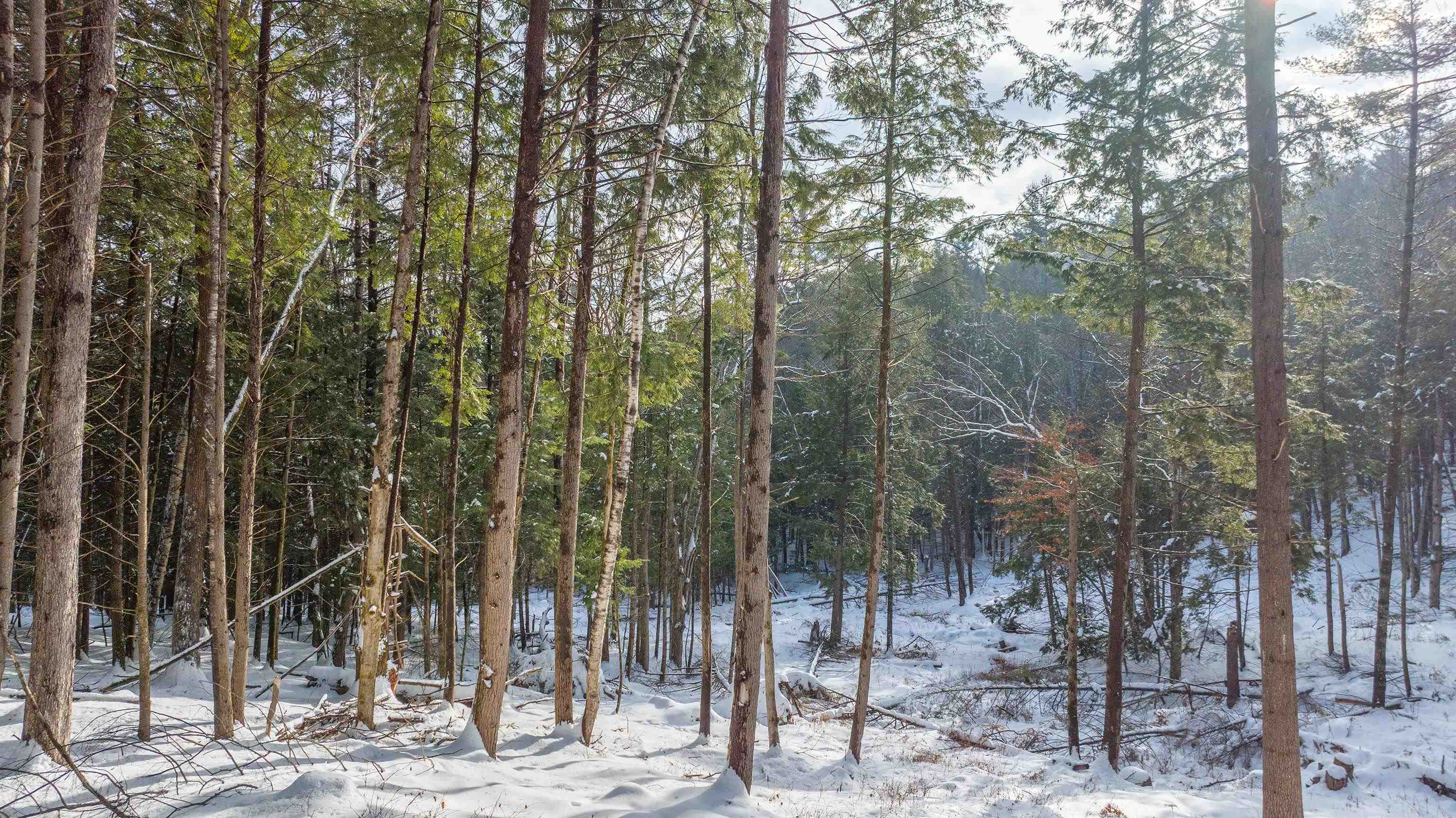 0 Fay Lane, Unit 7226 AND 7227 Quechee, VT 05059 - Photo 10 of 16