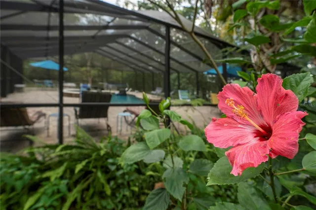 a view of a yard with a bench