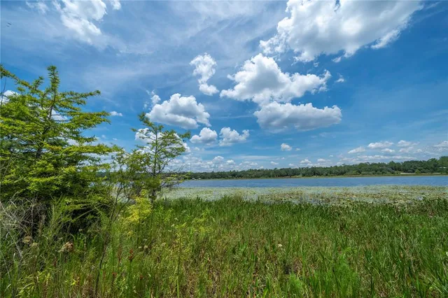a view of a lake with houses in back