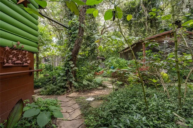 a view of a back yard