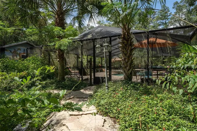 a view of a flower in a garden