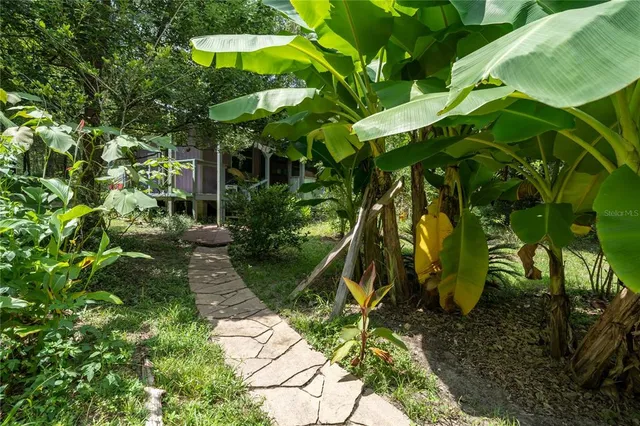 an aerial view of residential house with outdoor space and trees all around