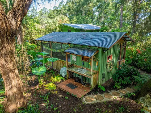 a view of a garden with a plants