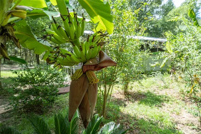 a view of livingroom with furniture