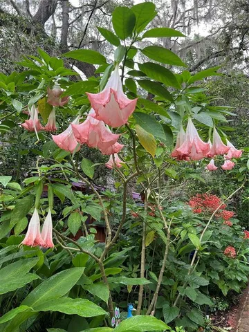 a view of a bedroom with furniture and window