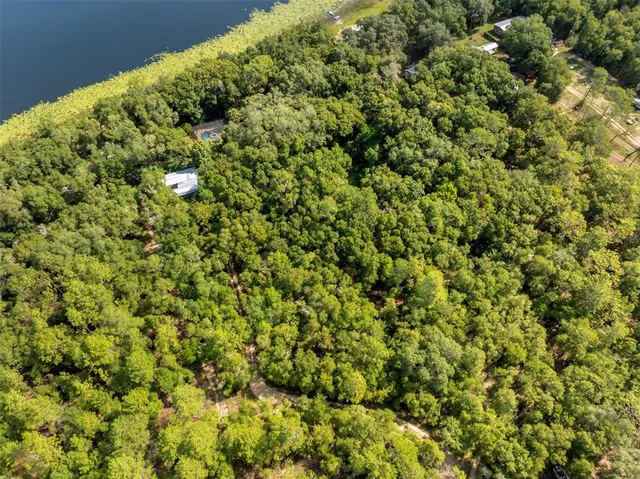 an empty room with windows and fireplace