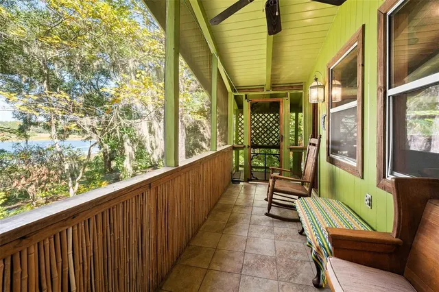 a view of a tree in a yard