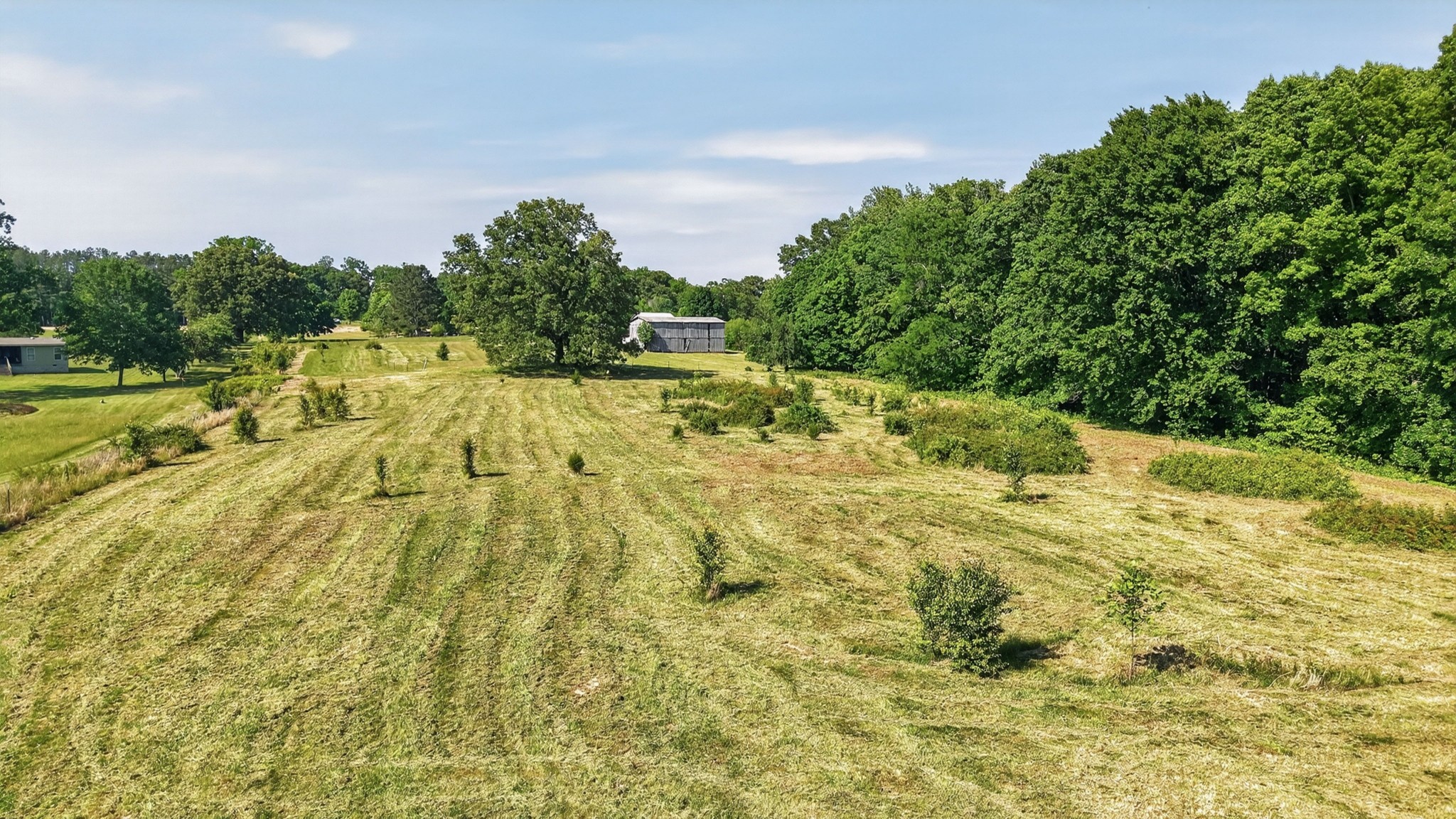 1804 Highway 52 Portland, TN 37148 - Photo 39 of 40
