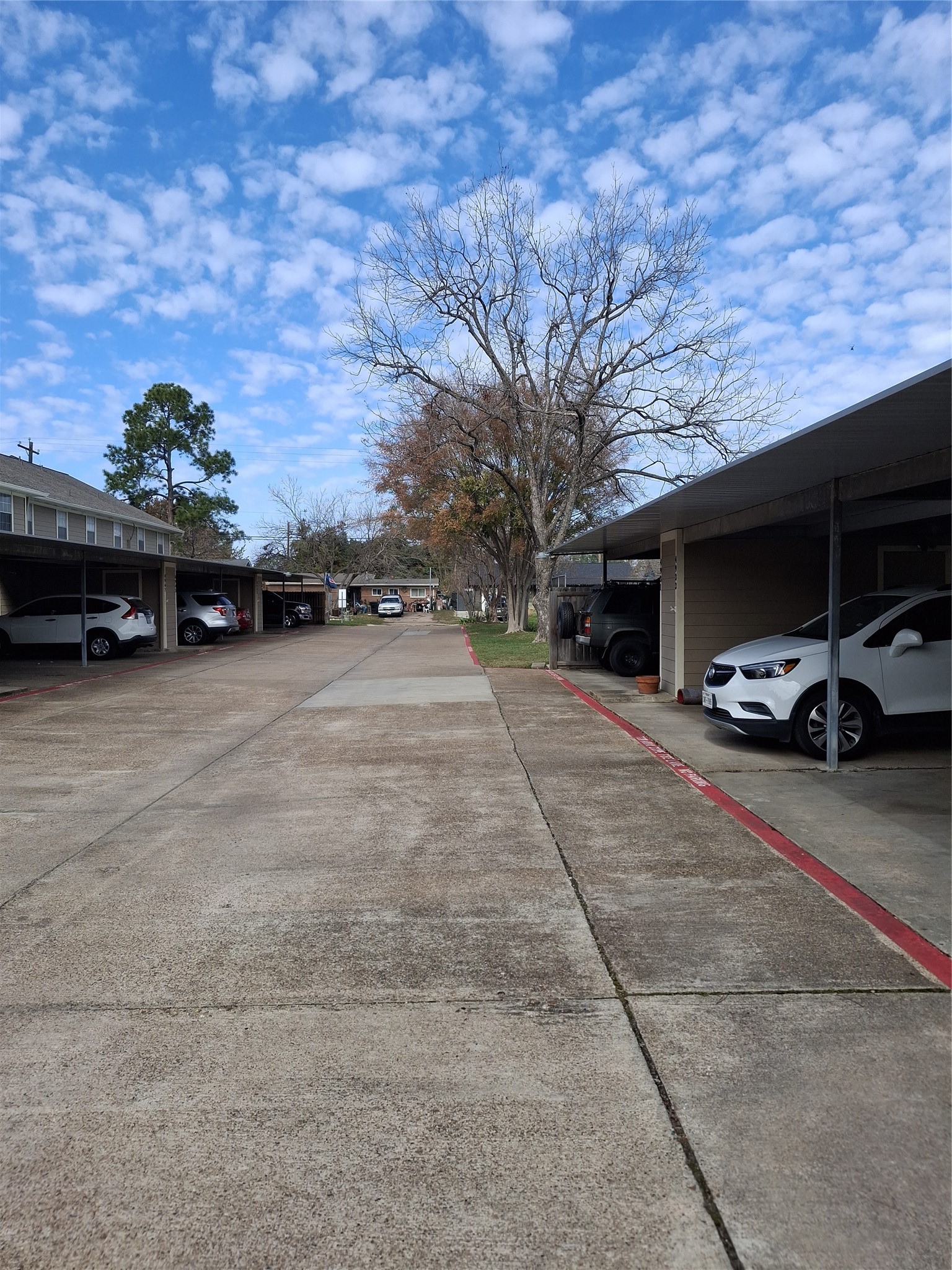 4953 Lamonte Lane Houston, TX 77092 - Photo 4 of 6 a view of a backyard of a house