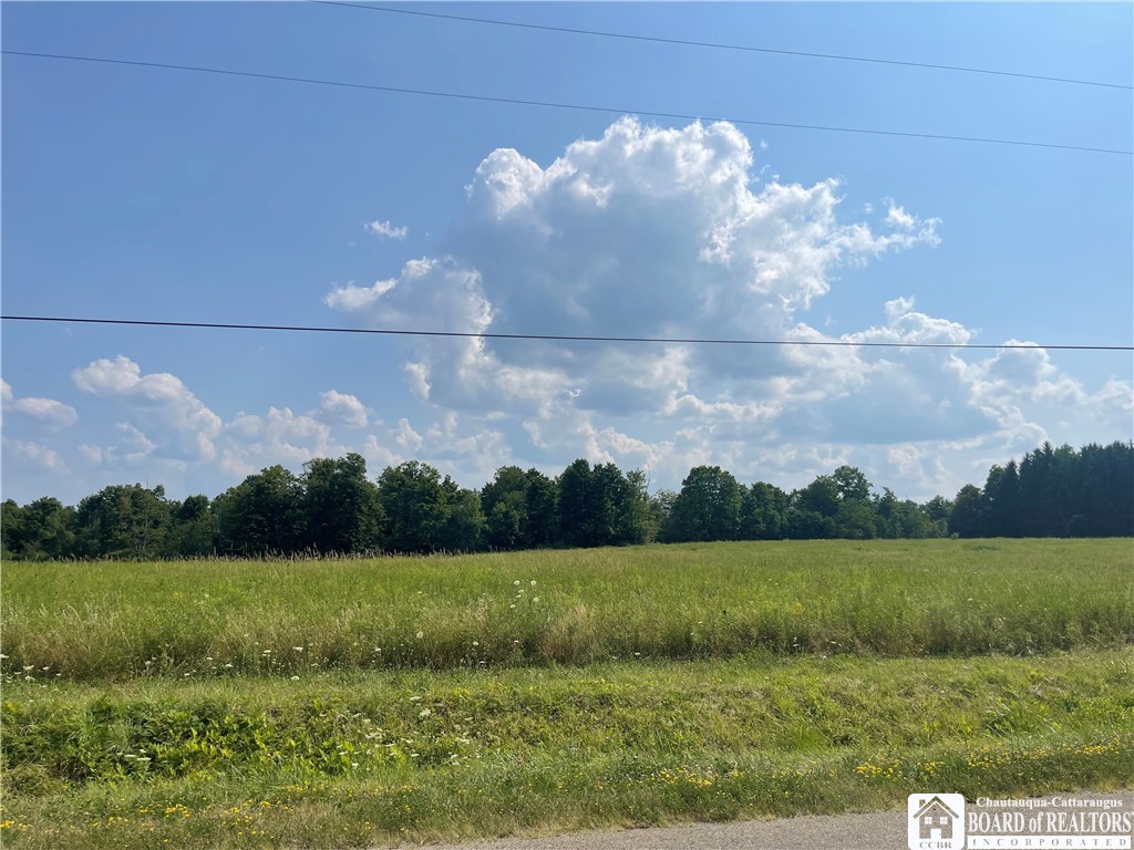 A Cobb Road Kennedy, NY 14747 - Photo 1 of 1