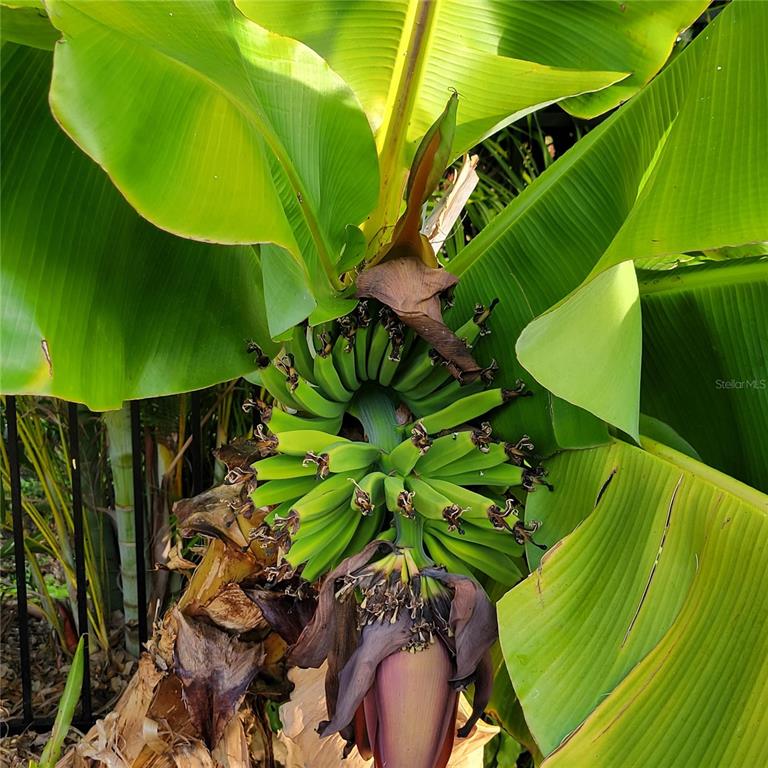 755 Kent Road Venice, FL 34293 - Photo 20 of 22