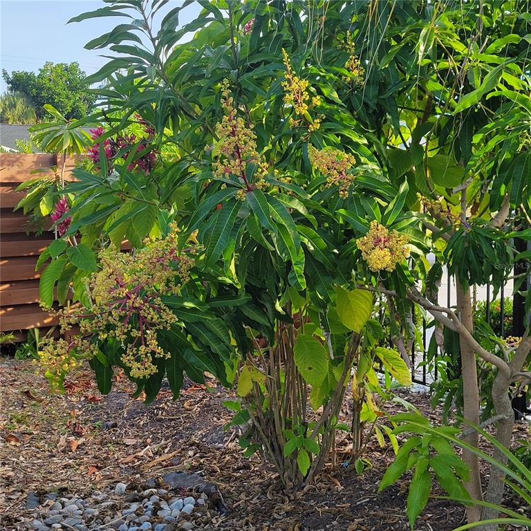 755 Kent Road Venice, FL 34293 - Photo 21 of 22