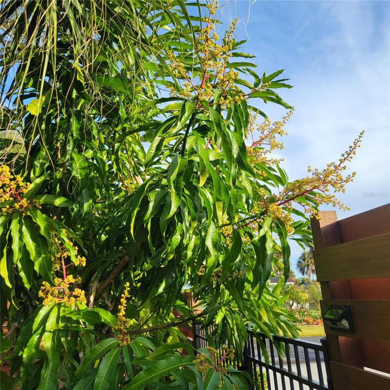 755 Kent Road Venice, FL 34293 - Photo 22 of 22