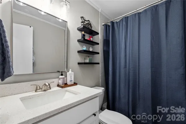 a bathroom with a sink vanity and toilet