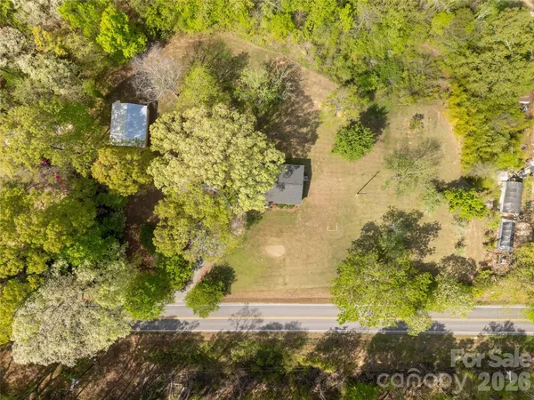 a view of a yard with plants and large trees