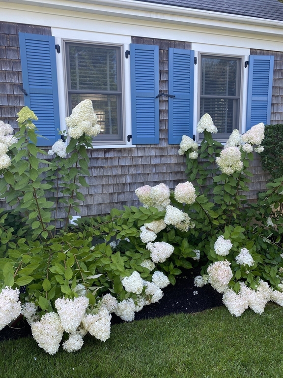 20 Cato Lane Nantucket, MA 02554 - Photo 2 of 27