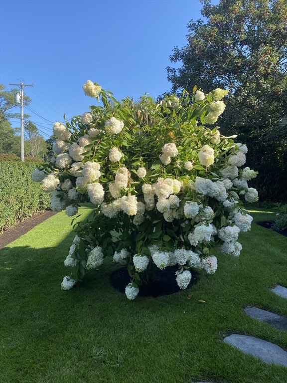 20 Cato Lane Nantucket, MA 02554 - Photo 27 of 27