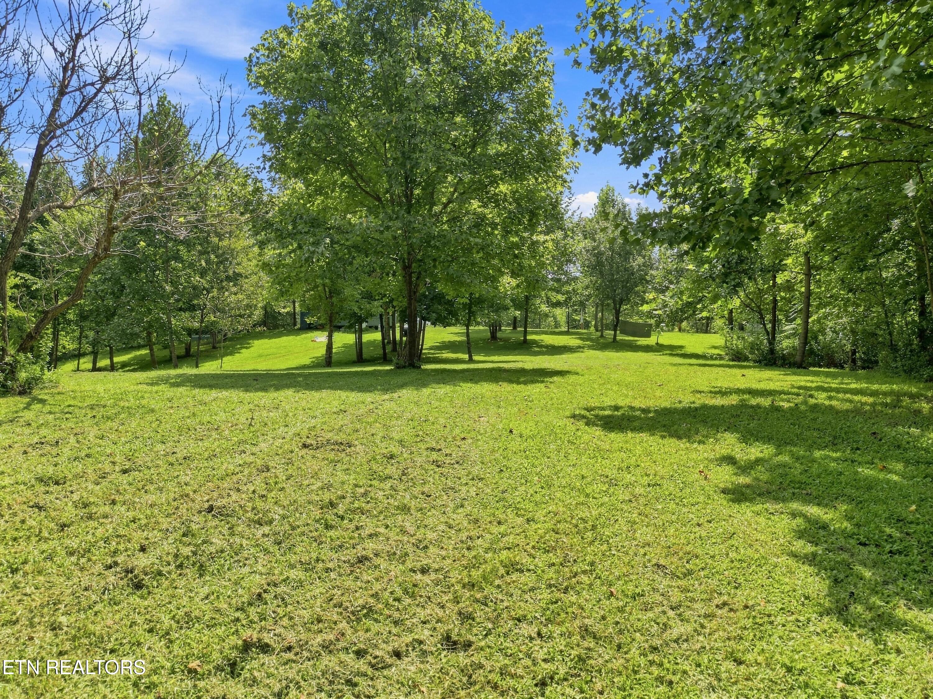 1133 Wheeler Road Harrogate, TN 37752 - Photo 8 of 38 17-Wheeler_Rd_017