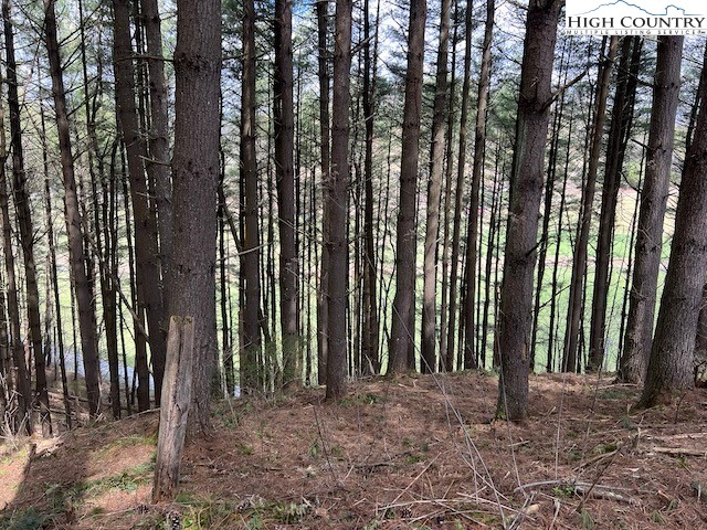 Lot #12 River Spring Road Sugar Grove, NC 28679 - Photo 1 of 21 a view of a backyard of the house