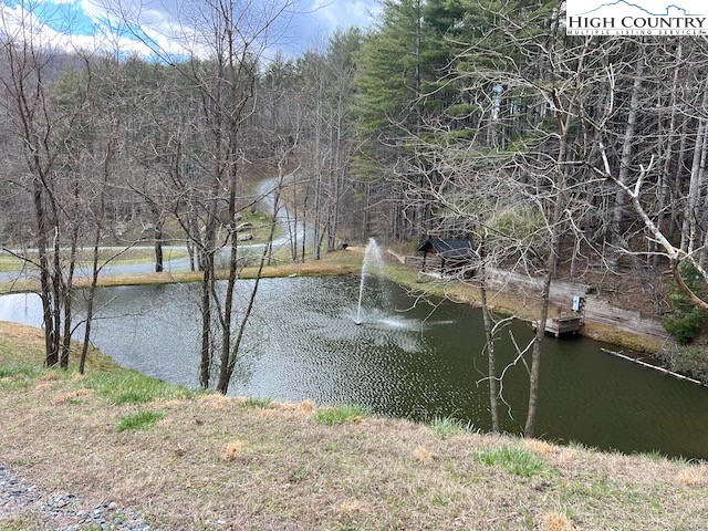 Lot #12 River Spring Road Sugar Grove, NC 28679 - Photo 19 of 21 a backyard of a house with lots of green space
