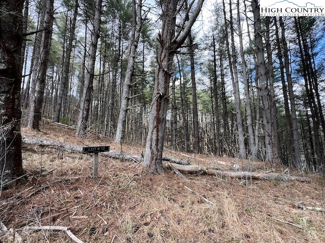 Lot #12 River Spring Road Sugar Grove, NC 28679 - Photo 2 of 21 a view of outdoor space with wooden fence and trees