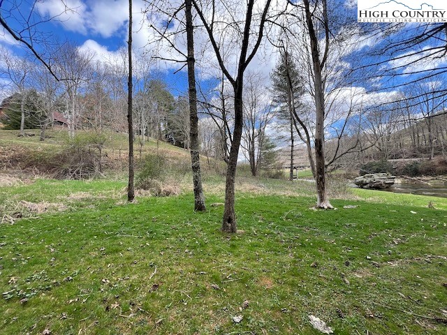 Lot #12 River Spring Road Sugar Grove, NC 28679 - Photo 21 of 21 a view of a garden with a tree