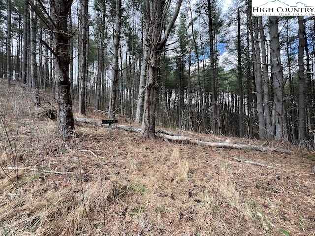 Lot #12 River Spring Road Sugar Grove, NC 28679 - Photo 3 of 21 a backyard of a house with lots of green space