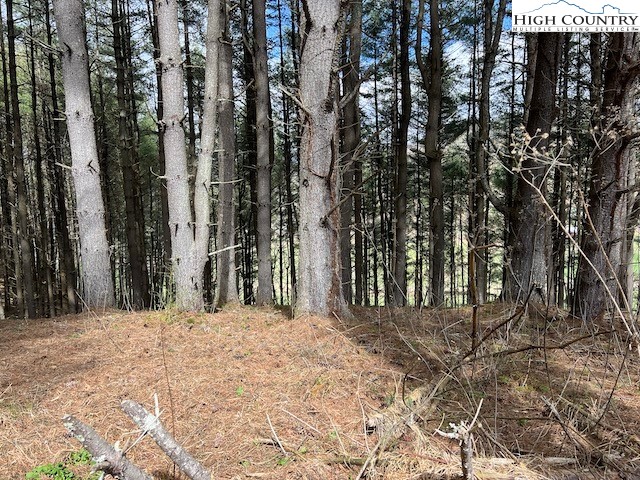 Lot #12 River Spring Road Sugar Grove, NC 28679 - Photo 4 of 21 a view of a backyard of the house