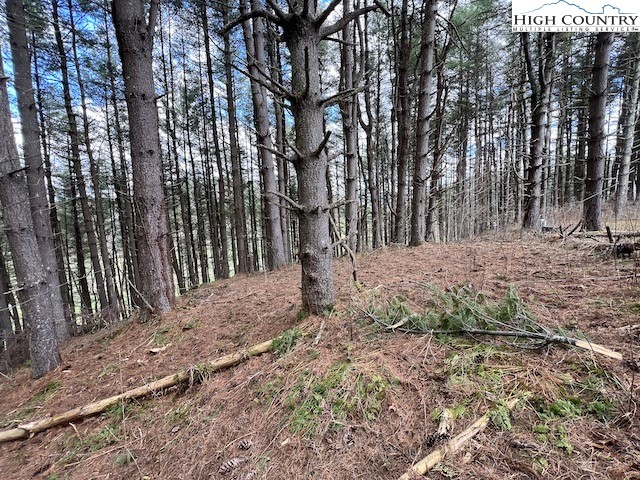 Lot #12 River Spring Road Sugar Grove, NC 28679 - Photo 5 of 21 a view of backyard and trees
