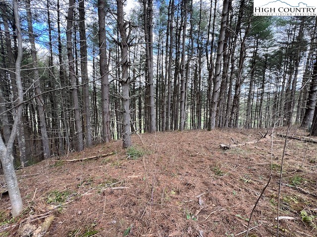Lot #12 River Spring Road Sugar Grove, NC 28679 - Photo 6 of 21 a view of wooden fence