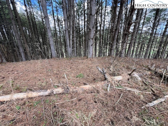 Lot #12 River Spring Road Sugar Grove, NC 28679 - Photo 7 of 21 a view of a backyard of the house