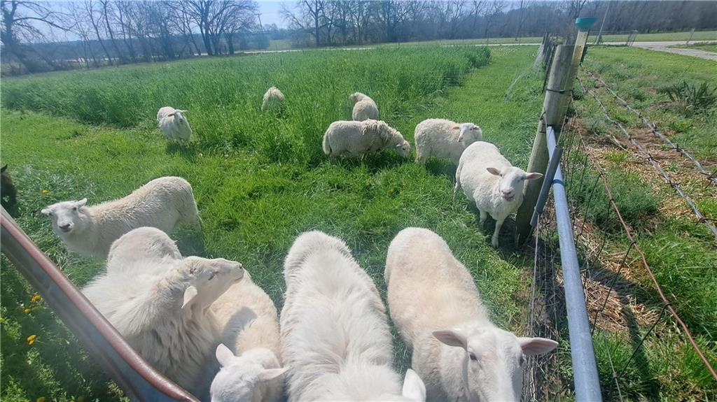 30704 East Outerbelt Road Lee's Summit, MO 64086 - Photo 16 of 45