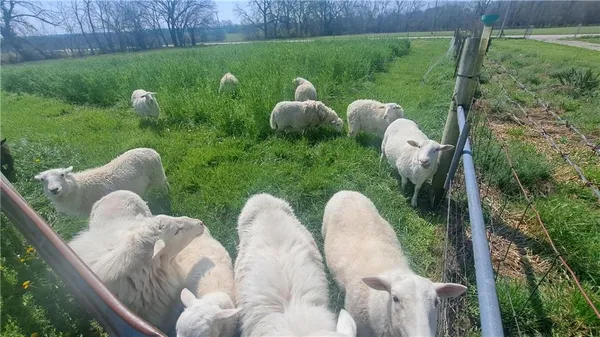 $549,900 | 30704 East Outerbelt Road, Lee's Summit, MO 64086