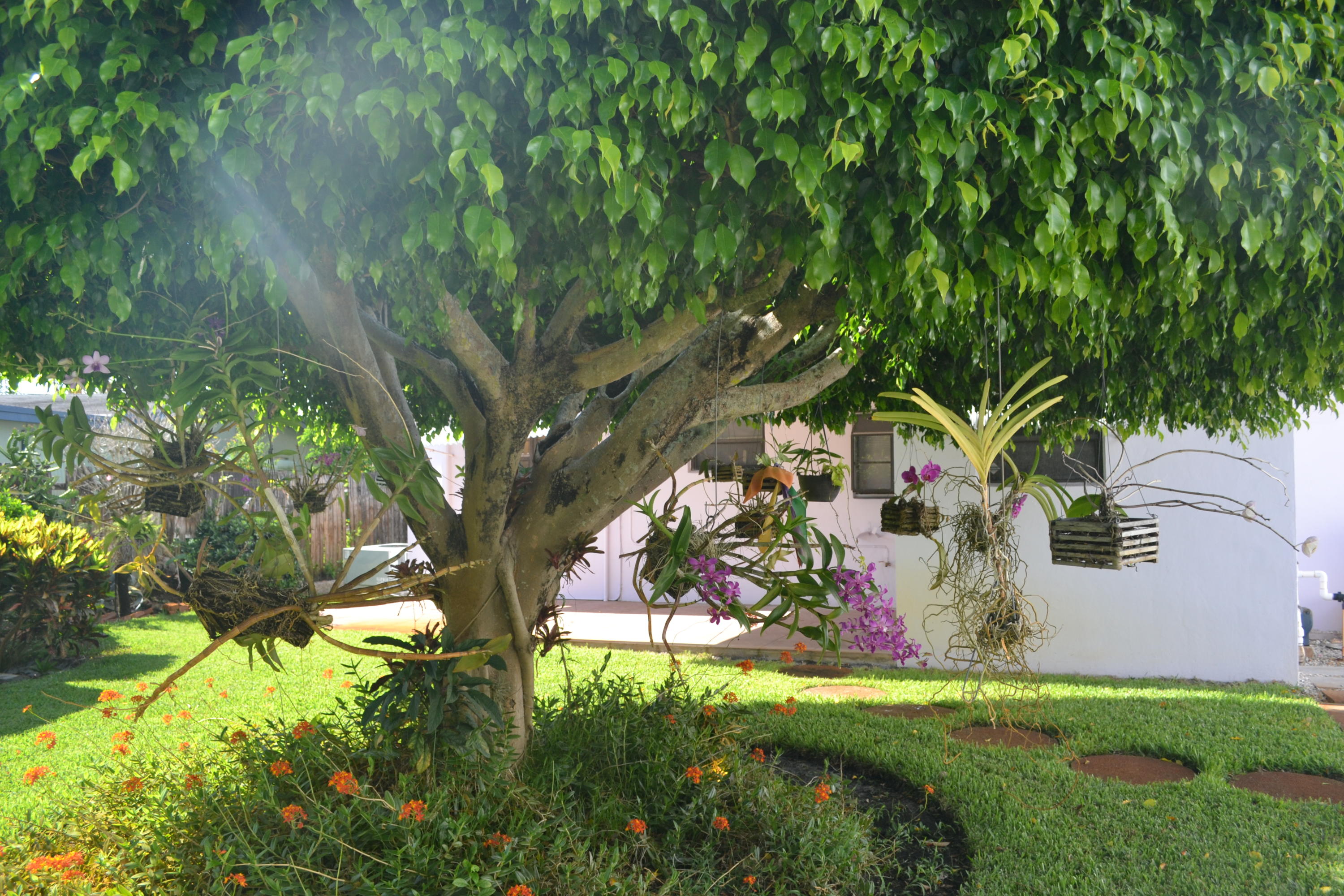 309 Southwest 3rd Street Boca Raton, FL 33432 - Photo 5 of 9 Beautiful landscaping