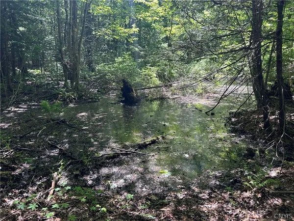 $8,500 | 0 23rd Avenue South, Blossvale, NY 13308
