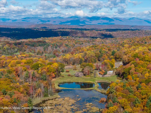 a view of a potted flower in the wooden door front of a house