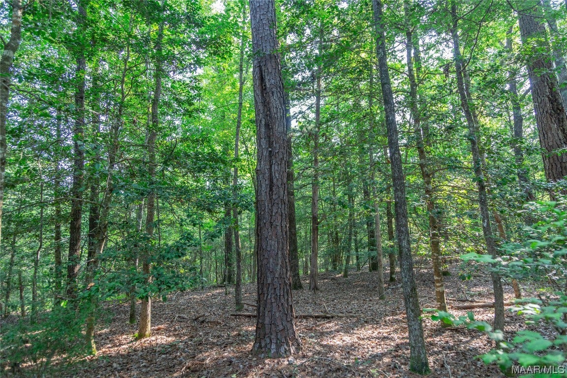 18.5-acres Free Road Brantley, AL 36009 - Photo 3 of 30 Gallery Image 3