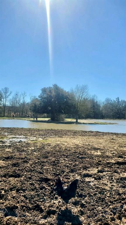 31467 Pea Ridge Road Albany, LA 70711 - Photo 13 of 13