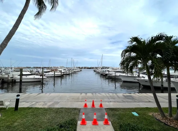 a view of a lake with boats and palm trees