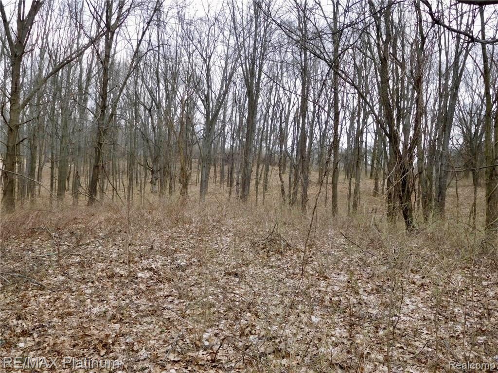 0 West Buno Road Milford, MI 48381 - Photo 17 of 28