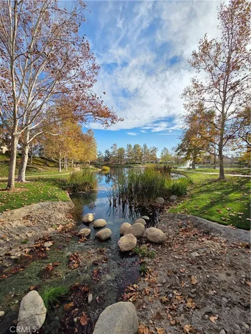 a view of a park with large trees