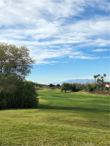 a view of a big yard with a large trees