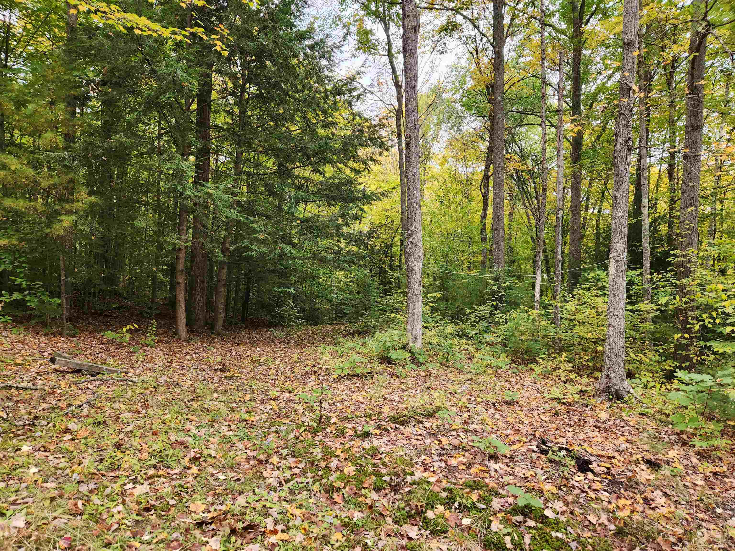 177 Ogorman Road Newbury, VT 05033 - Photo 15 of 30