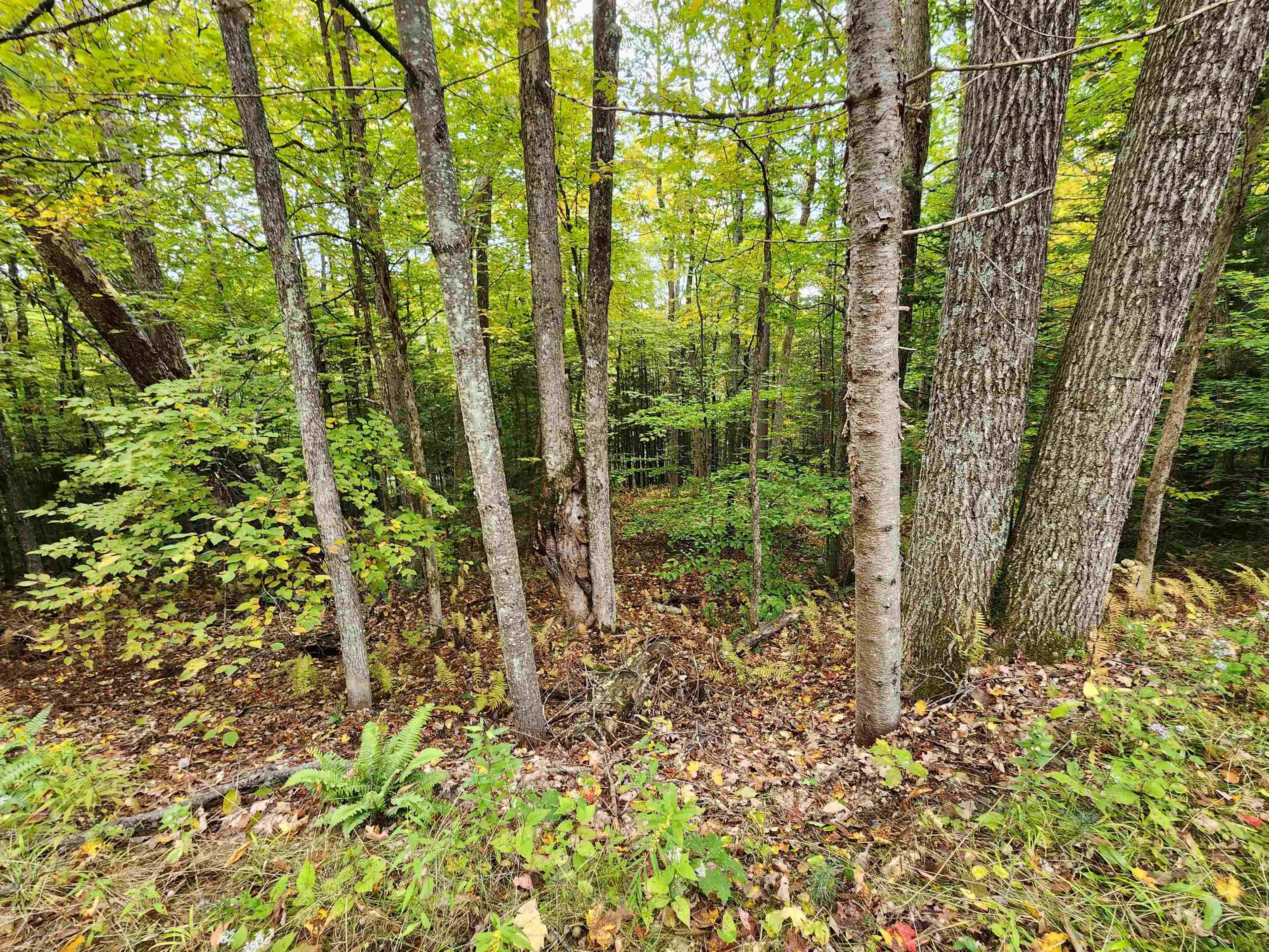 177 Ogorman Road Newbury, VT 05033 - Photo 16 of 30