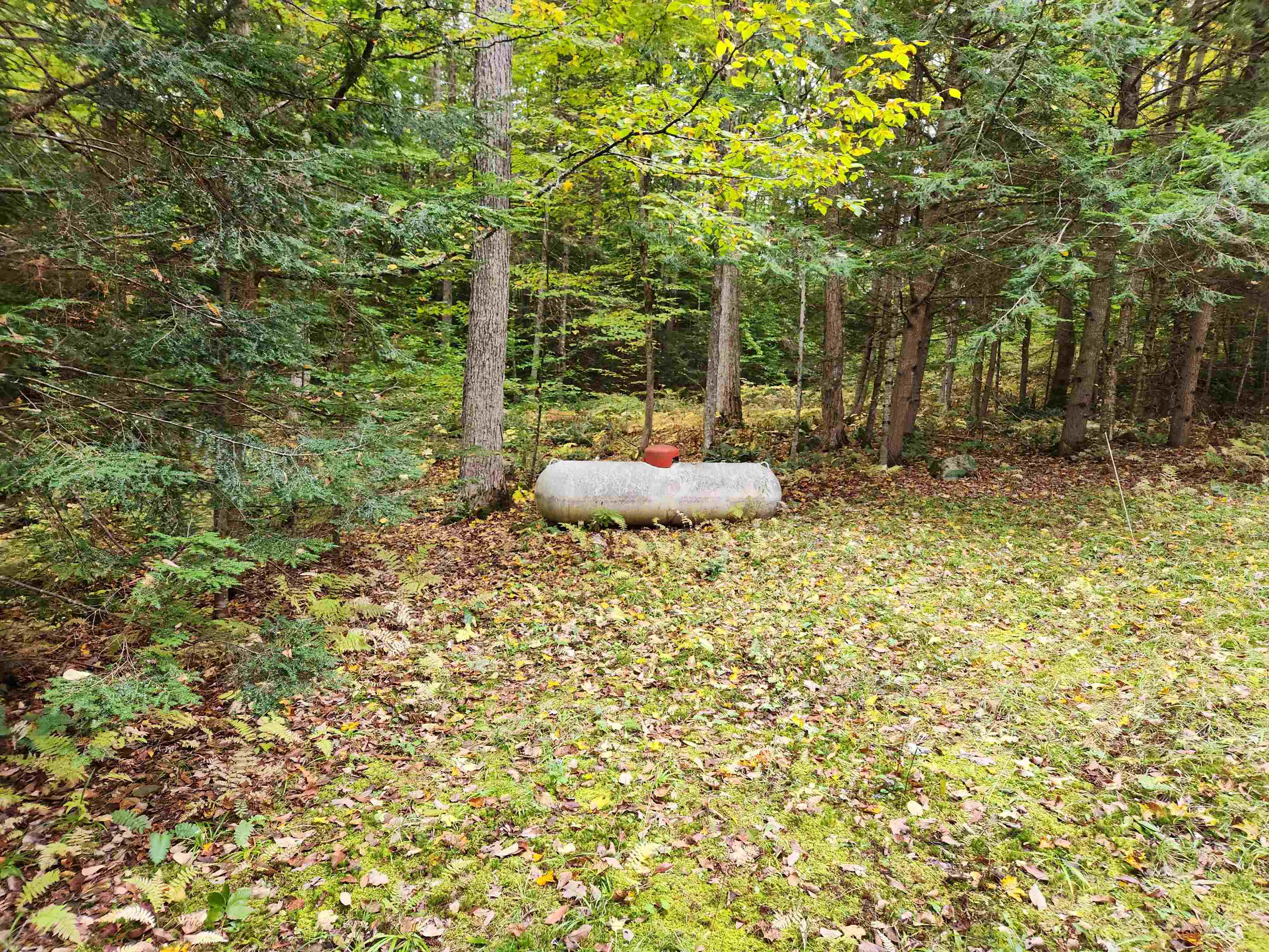 177 Ogorman Road Newbury, VT 05033 - Photo 18 of 30