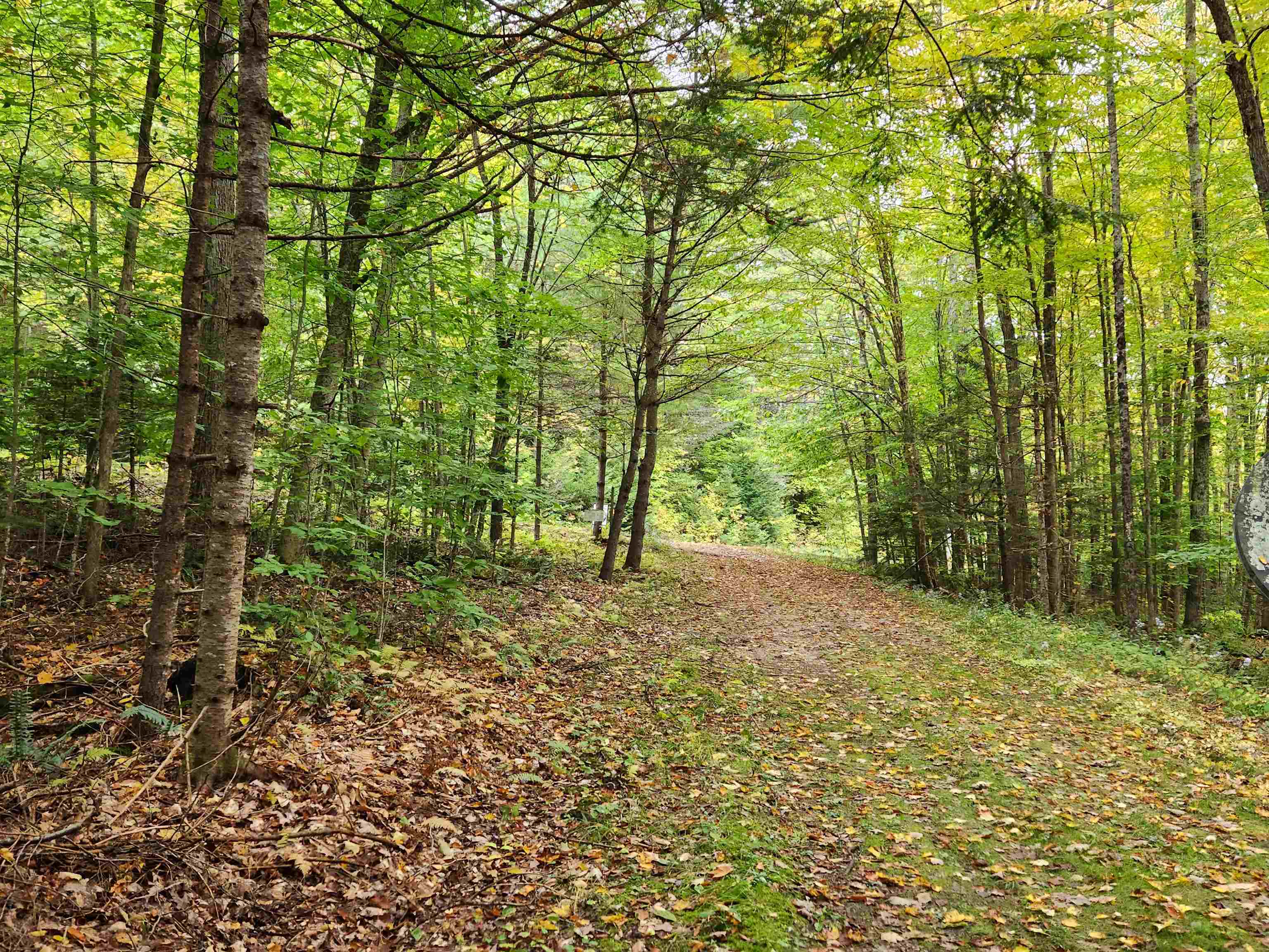 177 Ogorman Road Newbury, VT 05033 - Photo 21 of 30