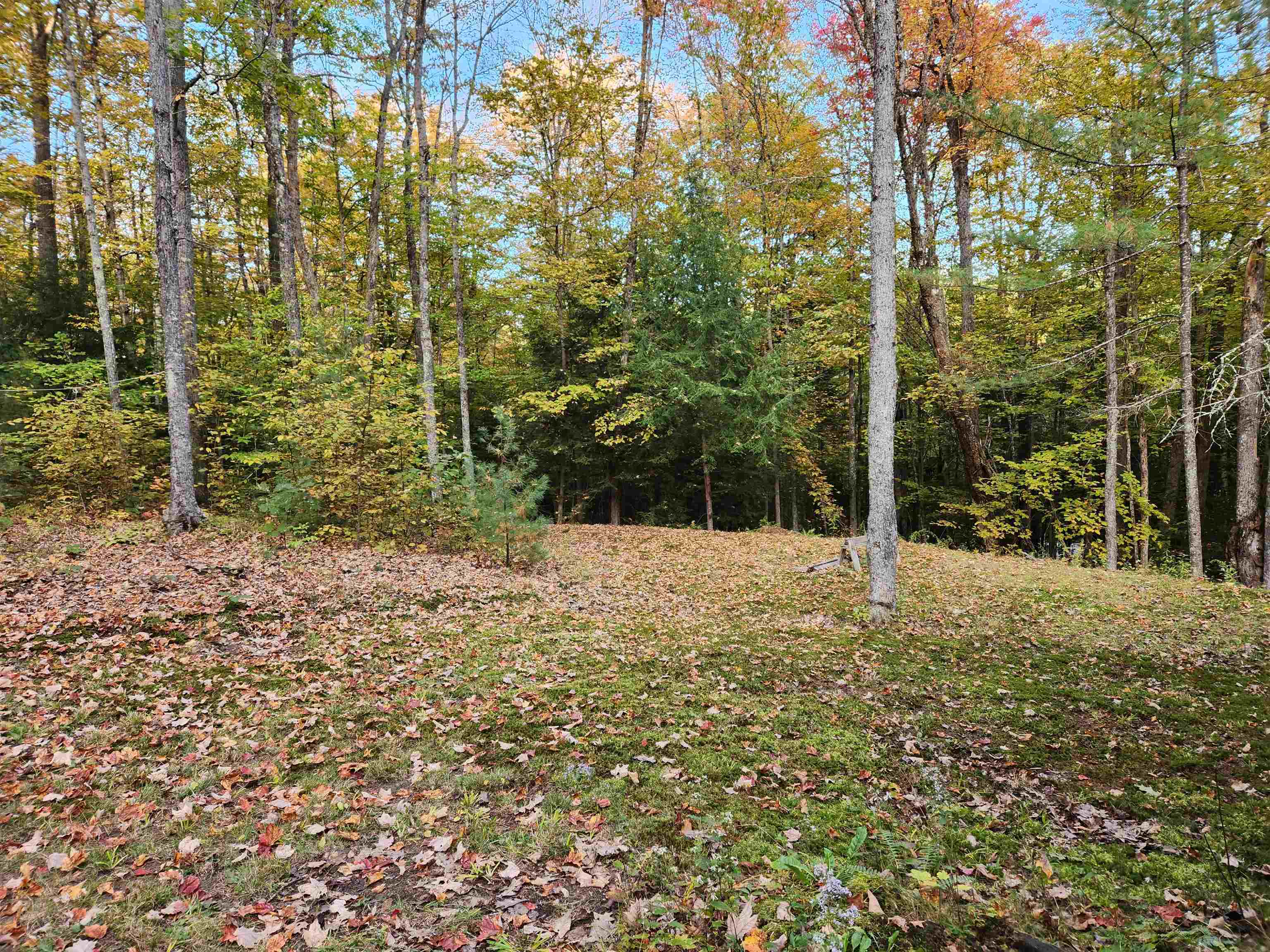 177 Ogorman Road Newbury, VT 05033 - Photo 22 of 30