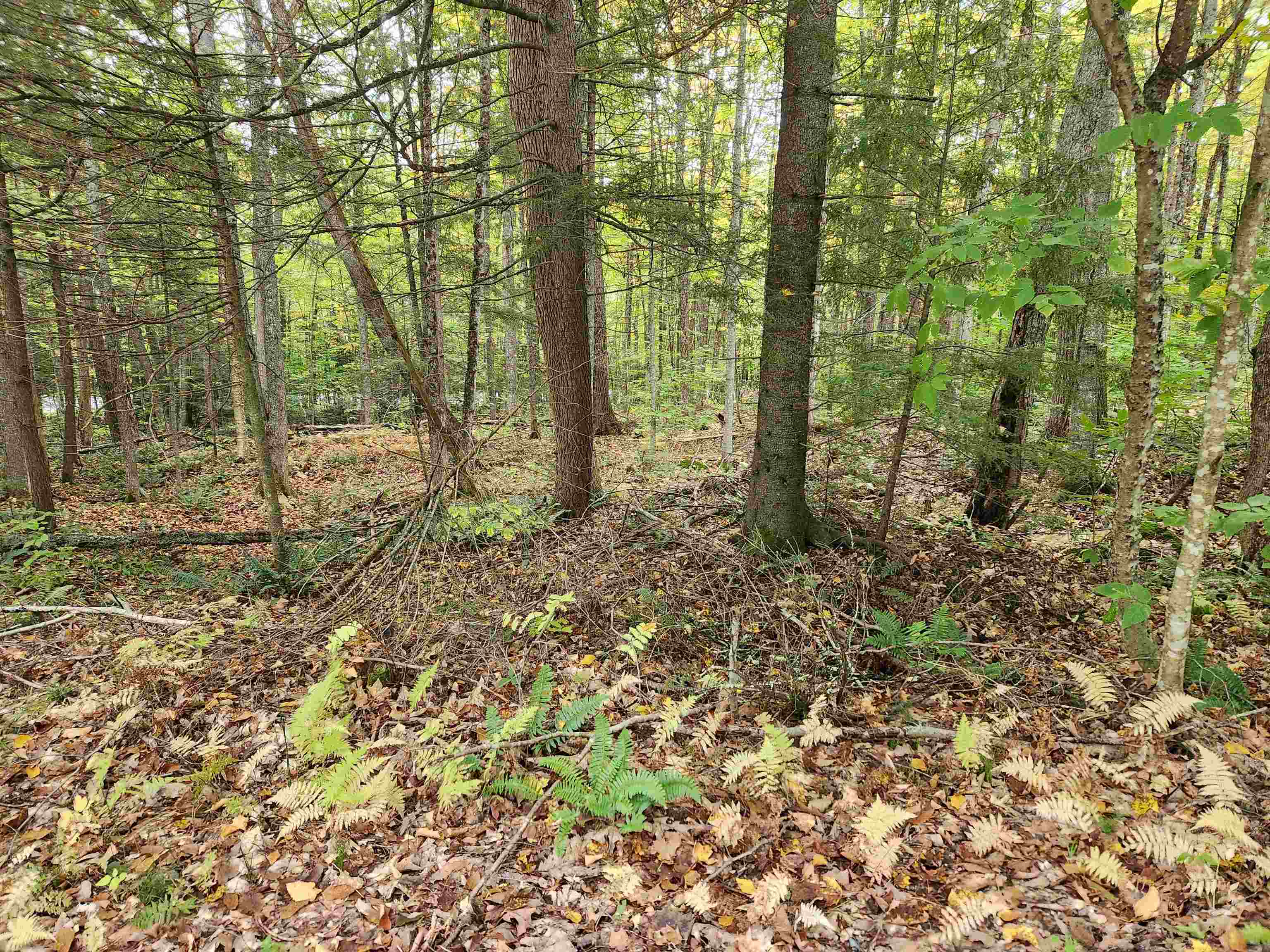 177 Ogorman Road Newbury, VT 05033 - Photo 23 of 30